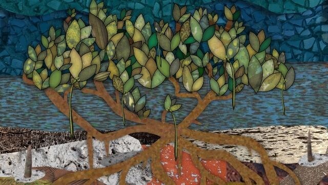 In an artistic intervention, a call to preserve and protect Mumbai's mangroves In an artistic intervention, a call to preserve and protect Mumbai's mangroves