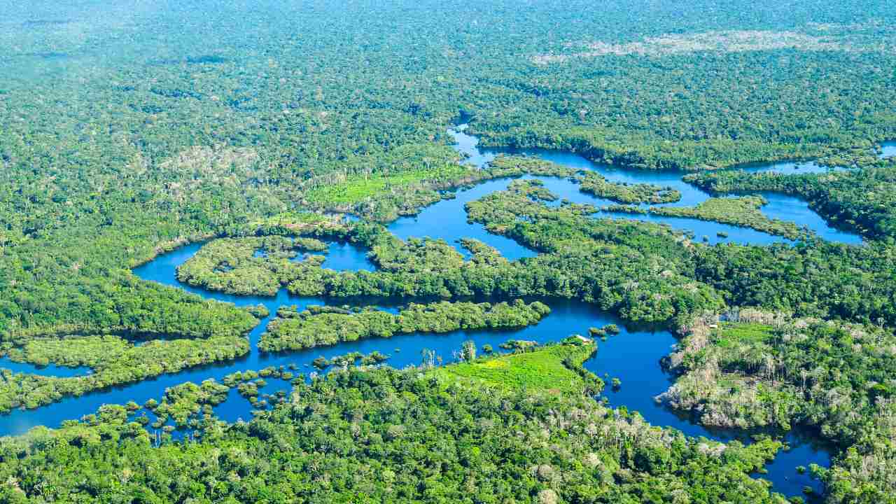 Aerial view of the Amazon Rainforest, near Manaus, the capital of the Brazilian state of Amazonas, Brazil. Image credit: Neil Palmer/CIAT/Flickr