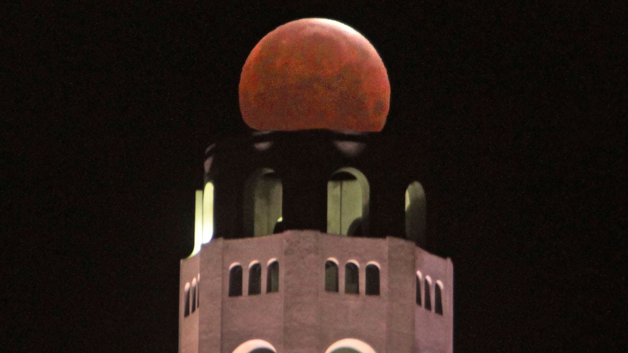 A lunar eclipse is seen over Coit Tower on Telegraph Hill in San Francisco early Wednesday, May 26, 2021. The blazing orange moon was visible from Pacific and the western half of North America, parts of South America and eastern Asia. Image credit: AP Photo/Frederic Larson