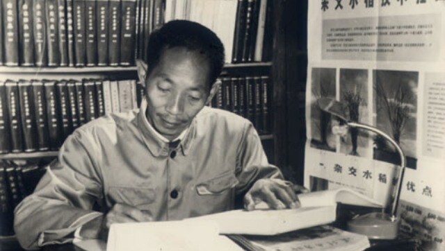 Yuan Longping: Millions in China mourn 'father of hybrid rice' who helped curb famine in the country Yuan Longping: Millions in China mourn 'father of hybrid rice' who helped curb famine in the country