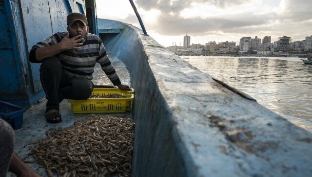 As life begins to come back to normal in Gaza post ceasefire, fishermen return to sea As life begins to come back to normal in Gaza post ceasefire, fishermen return to sea