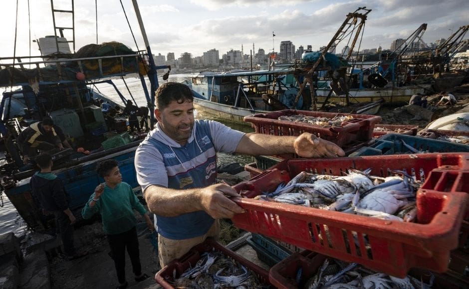 The frenzied shouts of an auctioneer at Gaza City’s main fishing port brought a welcome reprieve from the din of gunfire and explosions as life begins slowly returning to normal following 11 days of hostilities between Hamas and Israel. | In the picture: Fisherman load a horse-drawn cart before delivering their haul to market in Gaza City, on Sunday, 23 May, 2021. Photo via The Associated Press/John Minchillo