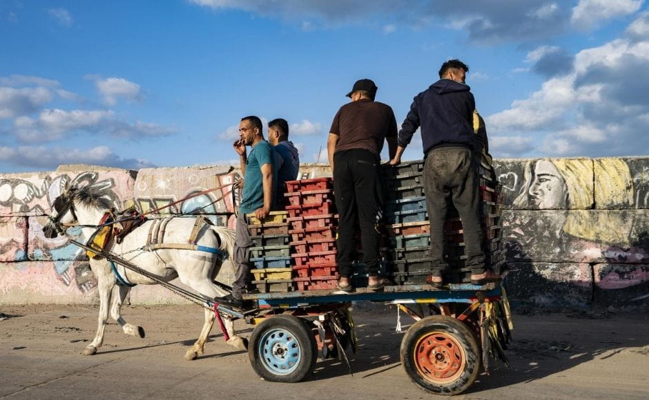 After a night out on the water, fishermen unloaded their bounty of crabs, shrimp and other fish at first light on Sunday at Gaza City’s al-Mina port, where Hamas police were present to maintain order. | In the picture: A fisherman takes a drag of a cigarette as the day's haul is delivered to market in Gaza City, on Sunday, 23 May, 2021. Photo via The Associated Press/John Minchillo