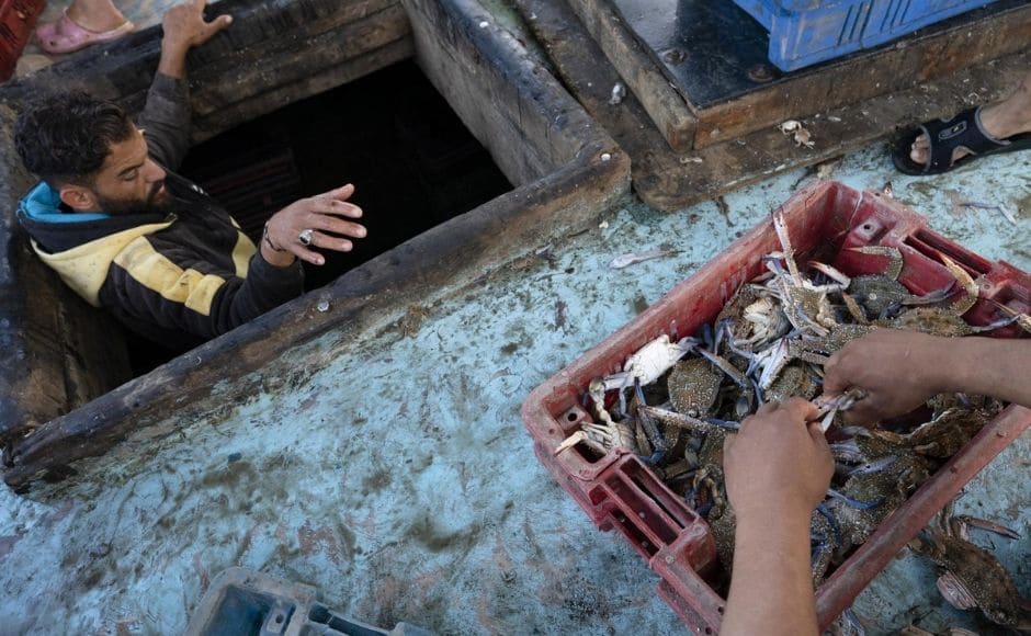 Buyers were already waiting to make their bids on boxes of fish arrayed on the ground after being unloaded from the boats, where young boys working as deckhands assisted older men in sorting and washing their catch. The fish were then loaded onto horse-drawn carts for delivery to local markets. | In the picture: A fisherman climbs out of the hold as the boat's haul is sorted before delivery to market in Gaza City, on Sunday, 23 May, 2021. Photo via The Associated Press/John Minchillo