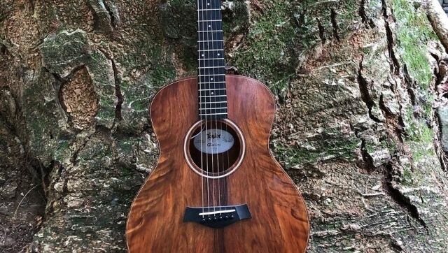 From resource scarcity to historical legacies of environmental conflict: A look at the concerns surrounding guitar industry From resource scarcity to historical legacies of environmental conflict: A look at the concerns surrounding guitar industry