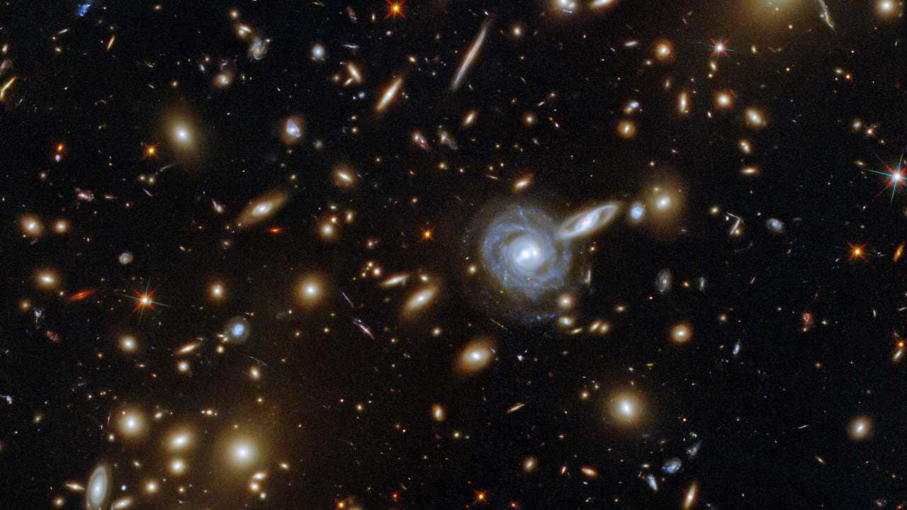 This packed ESA/Hubble Picture of the Week showcases the galaxy cluster ACO S 295, as well as a jostling crowd of background galaxies and foreground stars. Galaxies of all shapes and sizes populate this image, ranging from stately spirals to fuzzy ellipticals. As well as a range of sizes, this galactic menagerie boasts a range of orientations, with spiral galaxies such as the one at the centre of this image appearing almost face on, and some edge-on spiral galaxies visible only as thin slivers of light. The cluster dominates the centre of this image, both visually and physically. The huge mass of the galaxy cluster has gravitationally lensed the background galaxies, distorting and smearing their shapes. As well as providing astronomers with a natural magnifying glass with which to study distant galaxies, gravitational lensing has subtly framed the centre of this image, producing a visually striking scene. Image credit: ESA/Hubble & NASA, F. Pacaud, D. Coe