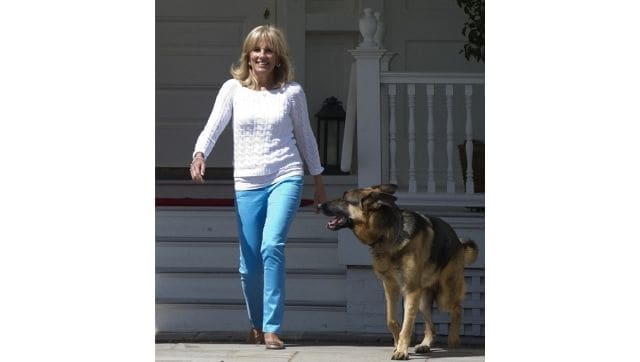 Bidens' dog Champ, their 'constant, cherished companion', passes away aged 13