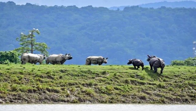 Assam government notifies Dehing Patkai and Raimona as national parks