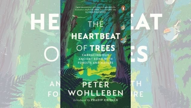 Book excerpt: In The Heartbeat of Trees, Peter Wohlleben explores communication between humans and trees Book excerpt: In The Heartbeat of Trees, Peter Wohlleben explores communication between humans and trees
