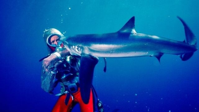 Playing with Sharks: New documentary throws light on noted ocean explorer Valerie Taylor's encounters with the sea creatures