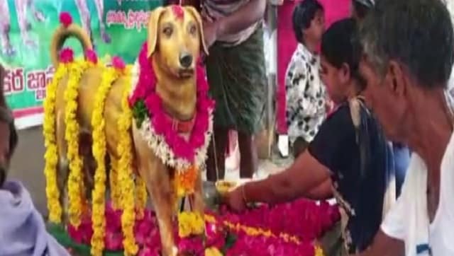 Andhra Pradesh man builds bronze statue of pet dog on its fifth death anniversary