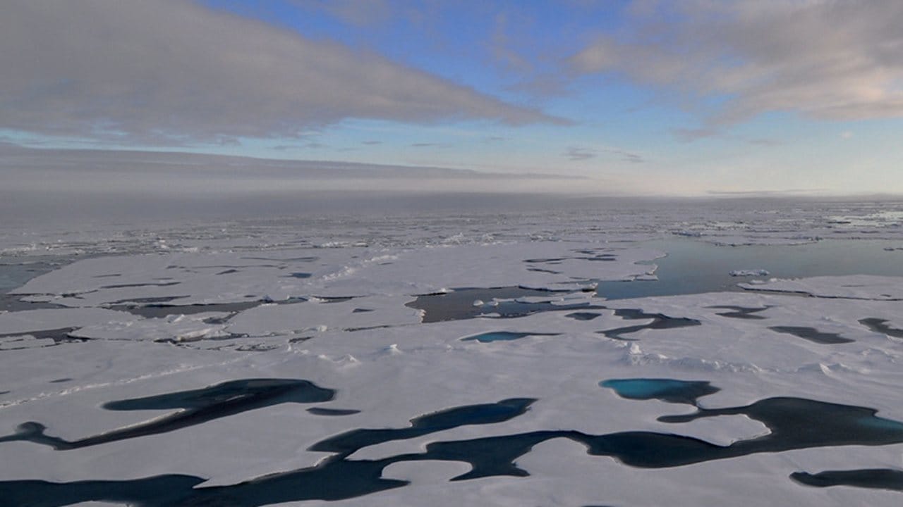 This are is called the “Last Ice Area” because floating sea ice there is usually so thick that it’s likely to withstand global warming for decades or so they thought. Image credit: NOAA