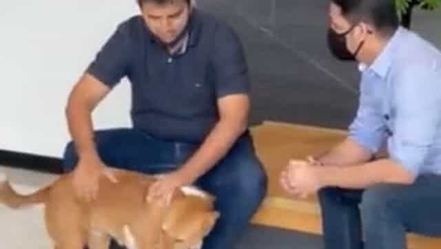 Watch: Ola CEO Bhavish Aggarwal shares video with a dog; teaches 'best way to do meetings'
