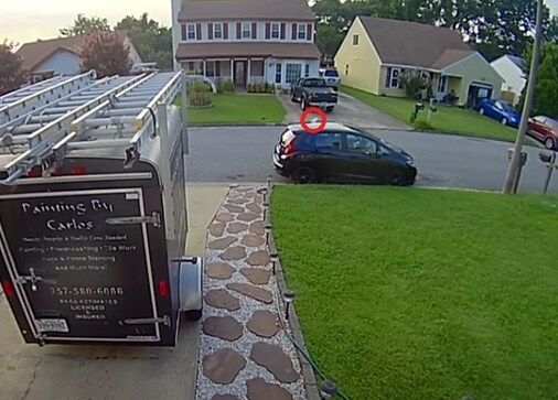 Video shows fish falling from sky, damaging car: Watch it here to believe it