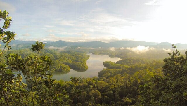 Find out why International Day of Clean Air for Blue Skies is celebrated