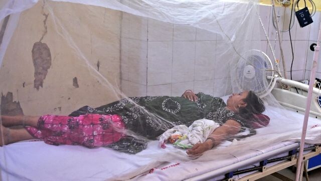 From Dengue to Nipah virus, vector-borne diseases are a major concern for India From Dengue to Nipah virus, vector-borne diseases are a major concern for India