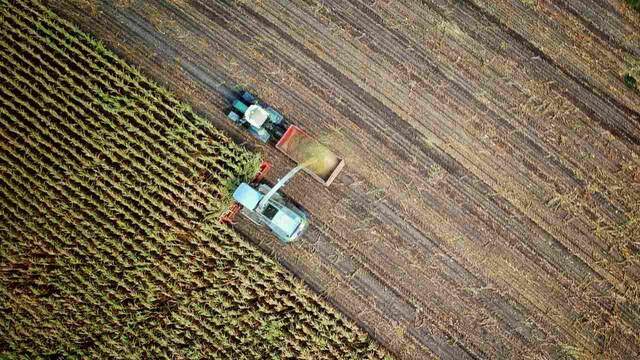UN food system summit hoped to tackle problem of world hunger, provoke the ire of experts and anti-hunger groups