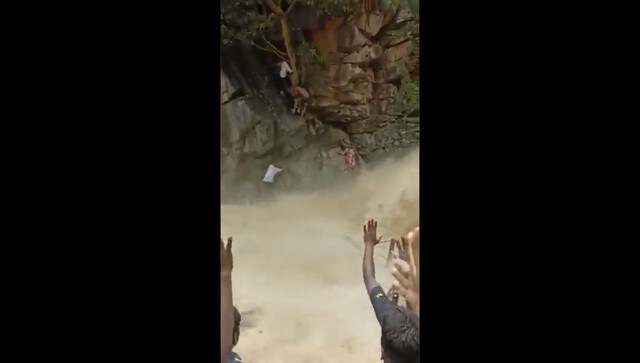 Tamil Nadu forest officials rescue mother, child from raging waterfall; watch viral video here Tamil Nadu forest officials rescue mother, child from raging waterfall; watch viral video here