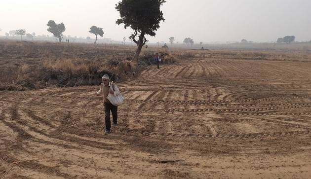 After 19 years, J&K farmers finally cultivate their land on ‘zero line’ of IB After 19 years, J&K farmers finally cultivate their land on ‘zero line’ of IB
