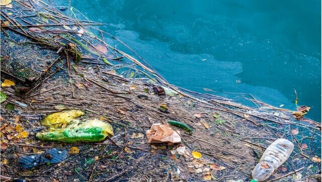International Day of Action for Rivers: From theme, history to significance, all you need to know International Day of Action for Rivers: From theme, history to significance, all you need to know