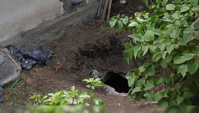 Rajasthan: Four dead after inhaling toxic fumes while cleaning factory's septic tank in Bikaner Rajasthan: Four dead after inhaling toxic fumes while cleaning factory's septic tank in Bikaner