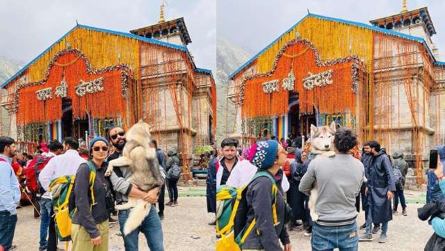 Uttarakhand: Noida man in soup as he takes dog to Kedarnath shrine; temple committee files FIR Uttarakhand: Noida man in soup as he takes dog to Kedarnath shrine; temple committee files FIR