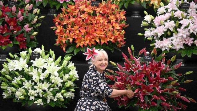 In full bloom! London's flower show is a treat for the eyes In full bloom! London's flower show is a treat for the eyes