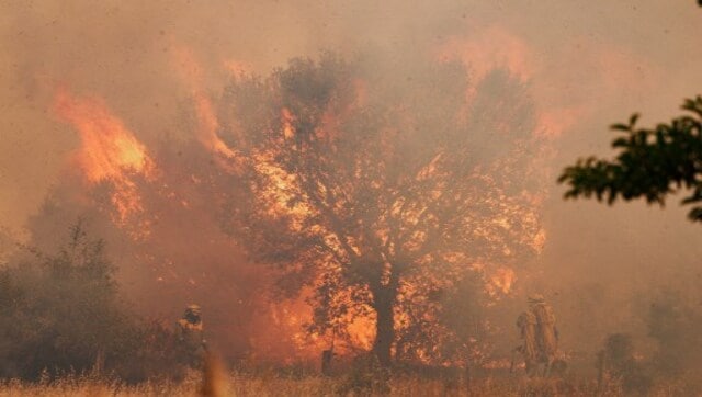 Wrath of nature: Spain grapples with deadly wildfires amid sweltering heatwave Wrath of nature: Spain grapples with deadly wildfires amid sweltering heatwave