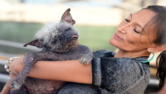 These are the world’s ugliest dogs but they are paw-some These are the world’s ugliest dogs but they are paw-some