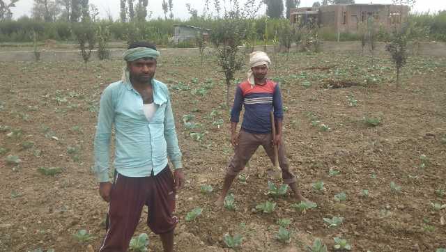 In Kashmir fear and cheer grip nonlocals as politics over voting rights heats up