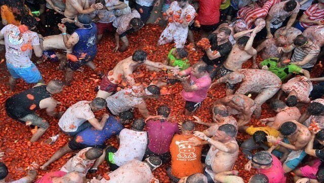 The La Tomatina festival has been dubbed as the world’s biggest food fight. According to a report by Afar, the tomatoes used in the festival are especially produced for the event. This year, a convoy of six trucks carried around 130 tonnes of tomatoes were transported through the narrow lanes of Bunol. AFP The La Tomatina festival has been dubbed as the world’s biggest food fight. According to a report by Afar, the tomatoes used in the festival are especially produced for the event. This year, a convoy of six trucks carried around 130 tonnes of tomatoes were transported through the narrow lanes of Bunol. AFP