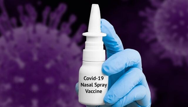 Nasal COVID vaccines can be the next best thing according to scientists