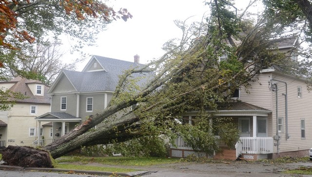 Uprooted trees, damaged homes and no power: Hurricane Fiona's trail of destruction in Canada