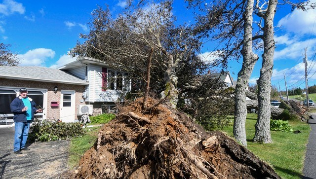 An uprooted tree landed on a house in Glace Bay, Nova Scotia. According to a report by BBC, tropical storm warnings were issued for the Atlantic provinces of Nova Scotia, Prince Edward Island, Newfoundland and New Brunswick, as well as in parts of Quebec. Fiona also knocked out power to more than 500,000 residents in Atlantic Canada. AP An uprooted tree landed on a house in Glace Bay, Nova Scotia. According to a report by BBC, tropical storm warnings were issued for the Atlantic provinces of Nova Scotia, Prince Edward Island, Newfoundland and New Brunswick, as well as in parts of Quebec. Fiona also knocked out power to more than 500,000 residents in Atlantic Canada. AP