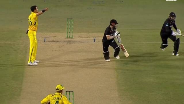 'Comedy of errors': Twitter in splits after Australia misses chance to run-out Williamson 'Comedy of errors': Twitter in splits after Australia misses chance to run-out Williamson