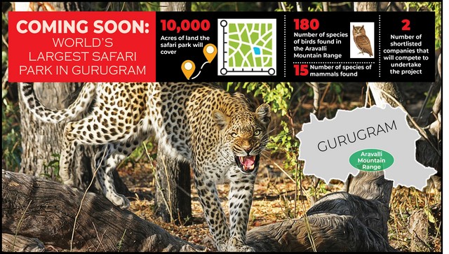 Totally Wild All about the worlds largest safari park coming up in Gurugram