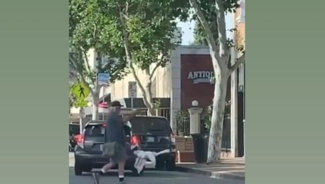 Man walks goose on leash, video leaves internet shocked