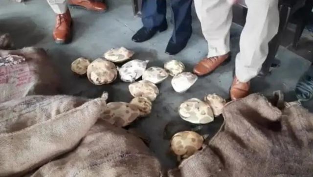 UP Unclaimed at railway station 29 sacks of banned turtles set free in river