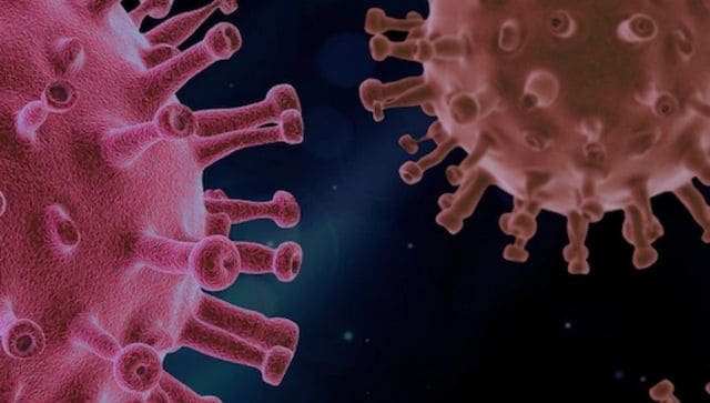 Vaccine-resistant new COVID-like virus discovered in Russian bats could infect humans, finds study