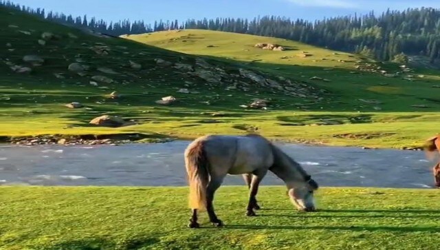 'Incredible India': Magnificent view of J&K’s Bangus Valley attracts internet, watch