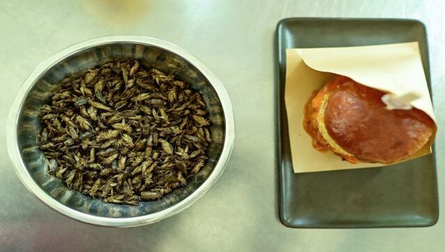 Bug's life: Crunchless cricket burgers at Thailand pop-up a must-order