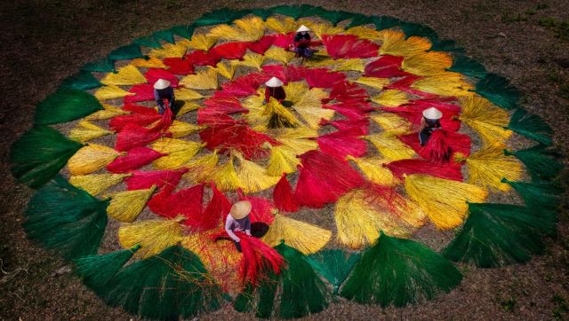 Spread the Sedge to Dry: Rural women in Phu Yen are busy spreading colourful sedge to dry. They work like puzzle artists, arranging the plants in alternating colours, creating wonderful patterns. Image Courtesy: Nguyen Linh Vinh Quoc Spread the Sedge to Dry: Rural women in Phu Yen are busy spreading colourful sedge to dry. They work like puzzle artists, arranging the plants in alternating colours, creating wonderful patterns. Image Courtesy: Nguyen Linh Vinh Quoc