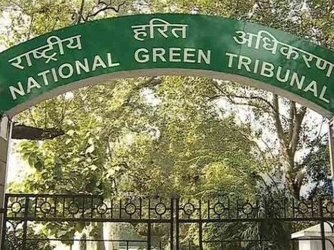 Haryana to cough up Rs100 cr for continuing to pollute environment, forests Haryana to cough up Rs100 cr for continuing to pollute environment, forests