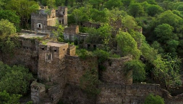 Wild Wild Best Inside Kuno National Park the onceforgotten gem of Madhya Pradesh now home to cheetahs