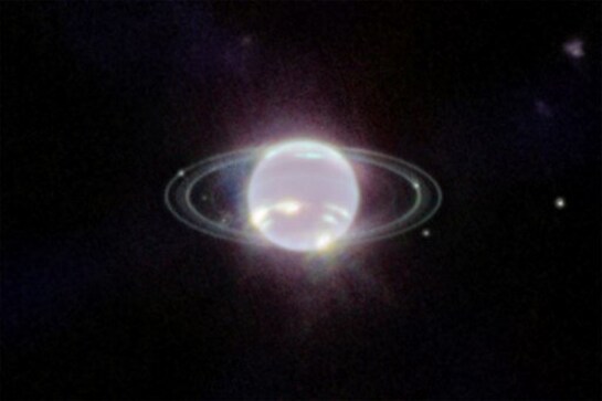 James Webb Space Telescope captures image of Neptune's delicate rings