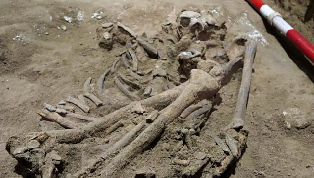 Did amputations occur 31,000 years ago? What a new skeleton reveals? Did amputations occur 31,000 years ago? What a new skeleton reveals?