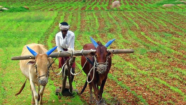 12th installment of PM Kisan Yojana will come on this day, check your name here 第12期PM Kisan Yojana将在这一天到来,在这里勾选你的名字