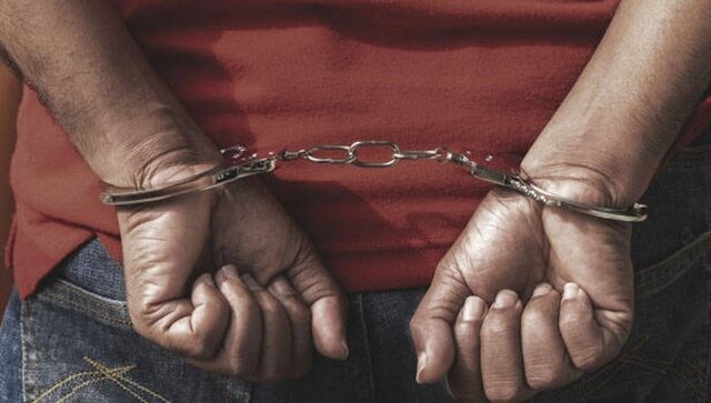 USA: 74-year-old Indian-American man shoots daughter-in-law, held
