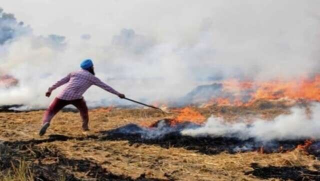 Punjab farmers moving away from stubble burning, using sustainable ways of disposing crop residue