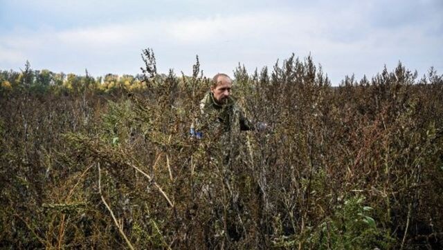 Ukraine demining teams race to clear lethal mines, explosives left behind by Russian forces before winter